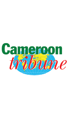 agrégateur des moyens de paiement en ligne - cleanpay camerounTribune